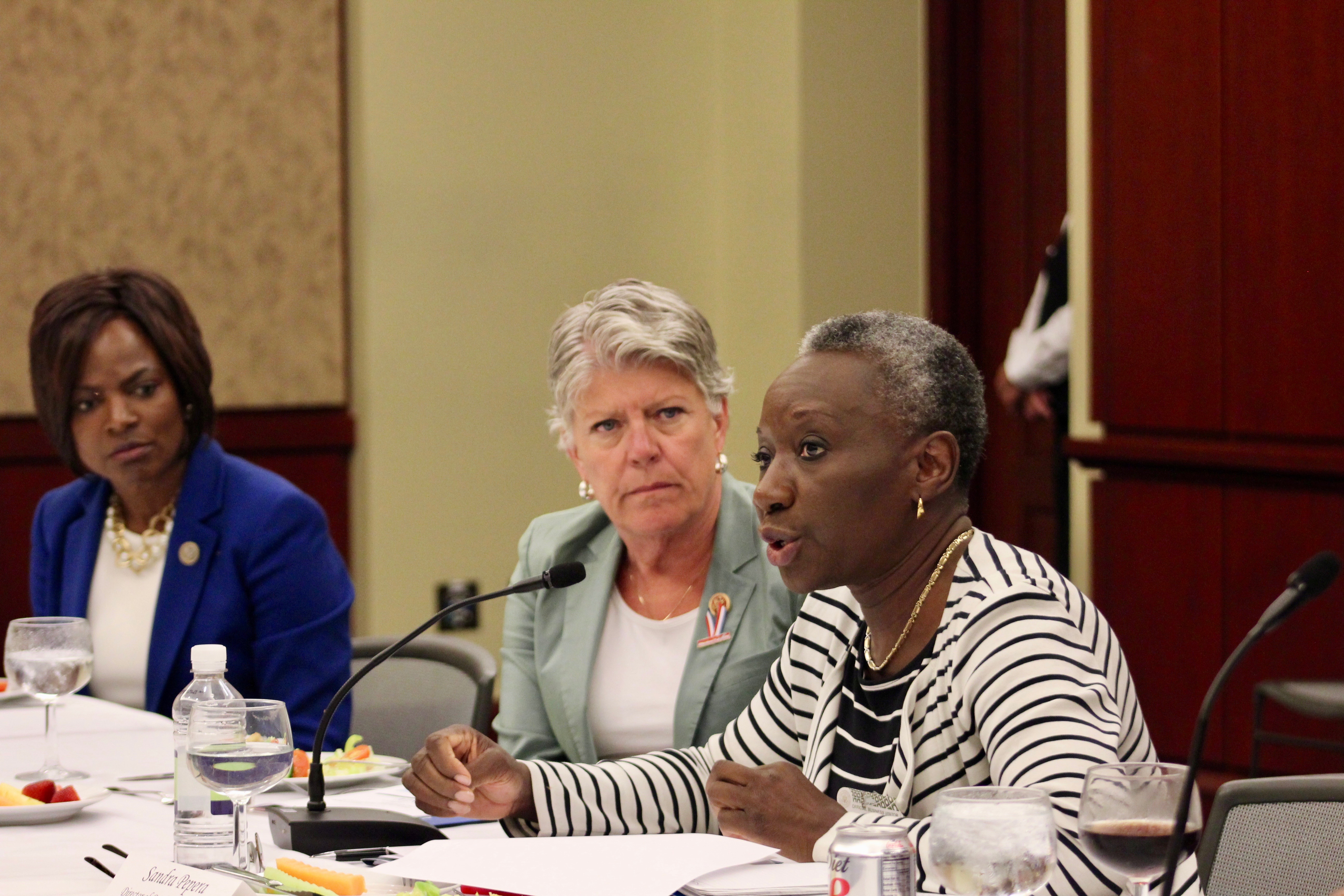 NDI's Gender, Women and Democracy Director Sandra Pepera discusses violence against women in Syria and post-conflict zones. On far left is Rep. Val Demings (FL) with Rep. Julia Brownley (CA) next to Pepera.
