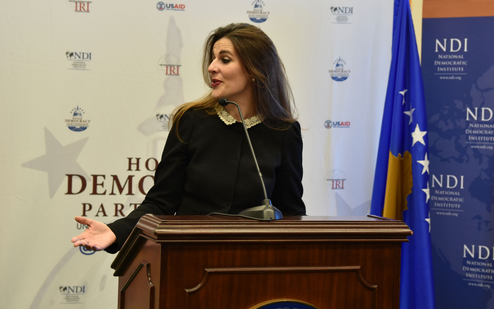 Her Excellency Vlora Çitaku, Ambassador of the Republic of Kosovo, addresses the audience at a celebration of the Kosovo Assembly, commemorating the Republic of Kosovo’s 10th anniversary.