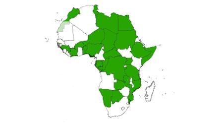 More than 30 African countries are slated to hold elections before December 2016.