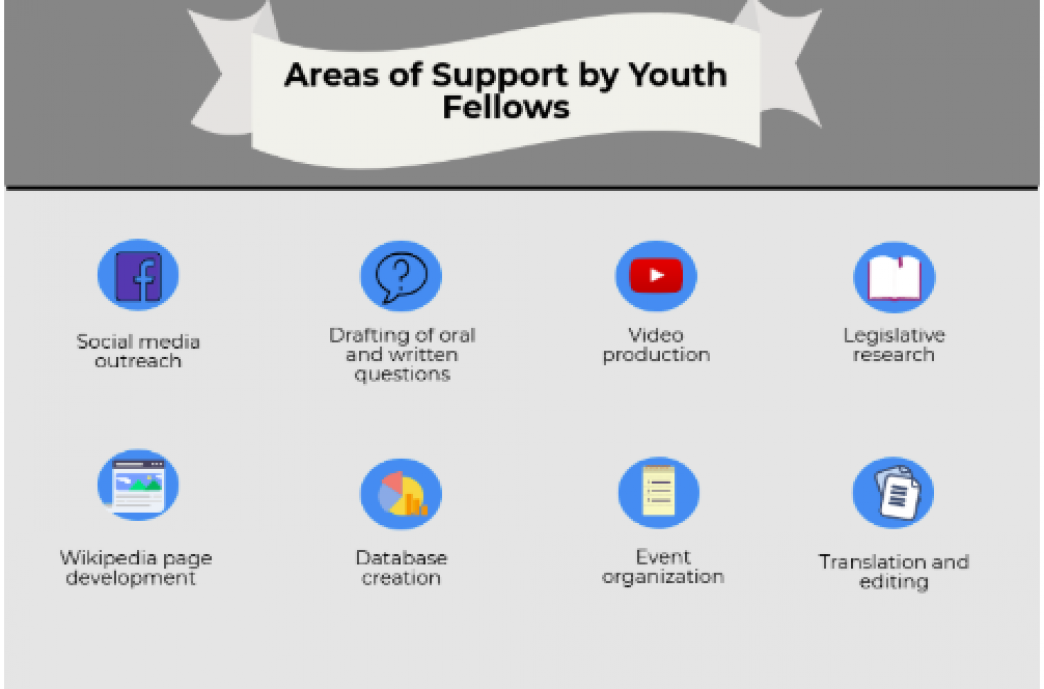 Areas of Support by Youth Fellows