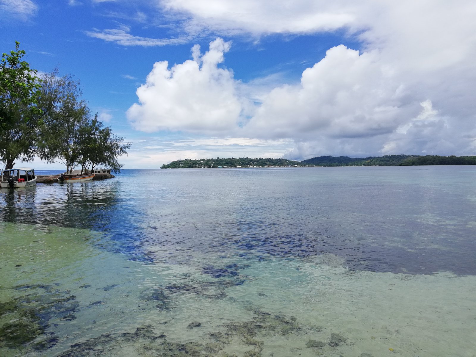 Solomon Islands Youth Lead Advocacy for Integrity in the  Natural Resources Management and Environmental Sectors