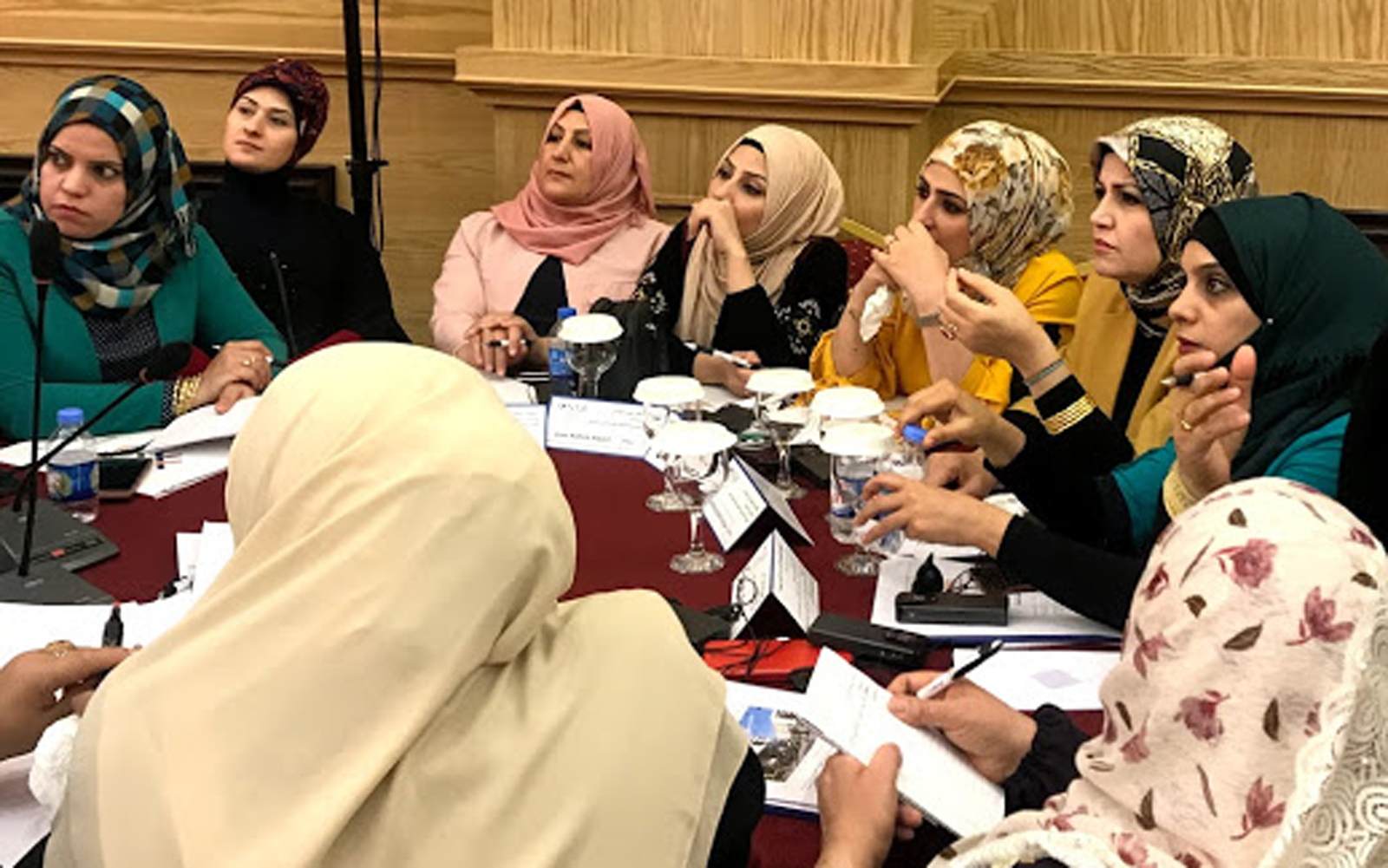 Iraqi Women Unite to Help Local Governments Respond to Priorities