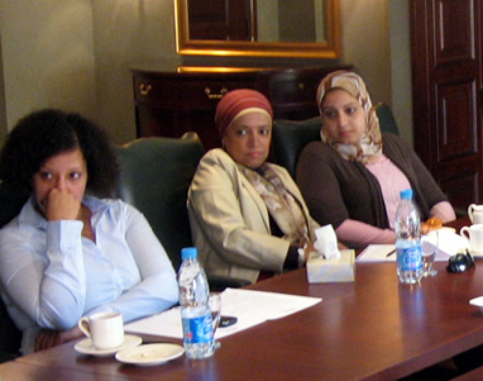 Women Leaders in Egypt Learn from Global Transition Experiences