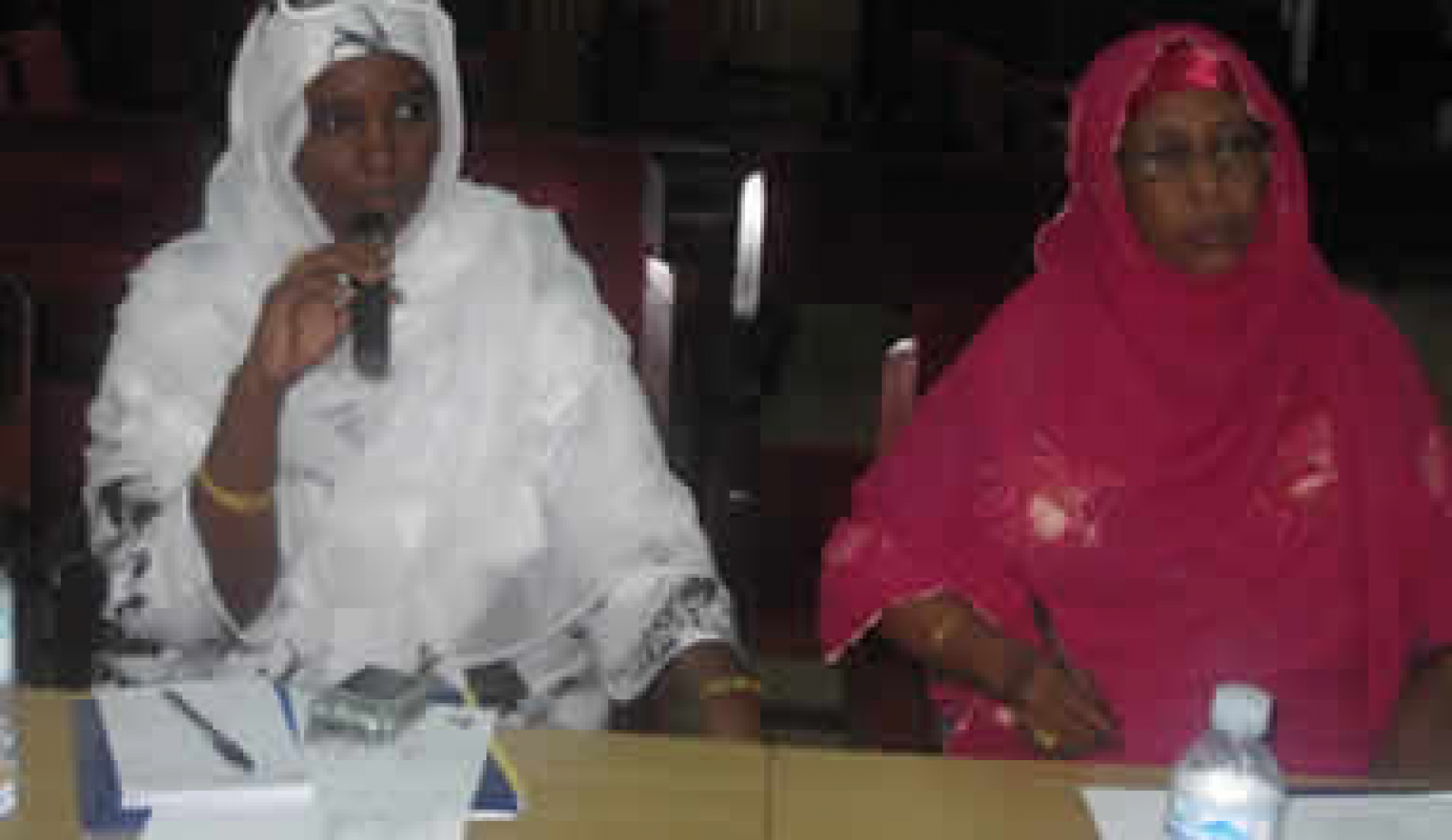 Members of Parliament Form the Somali Women Parliamentarians’ Association