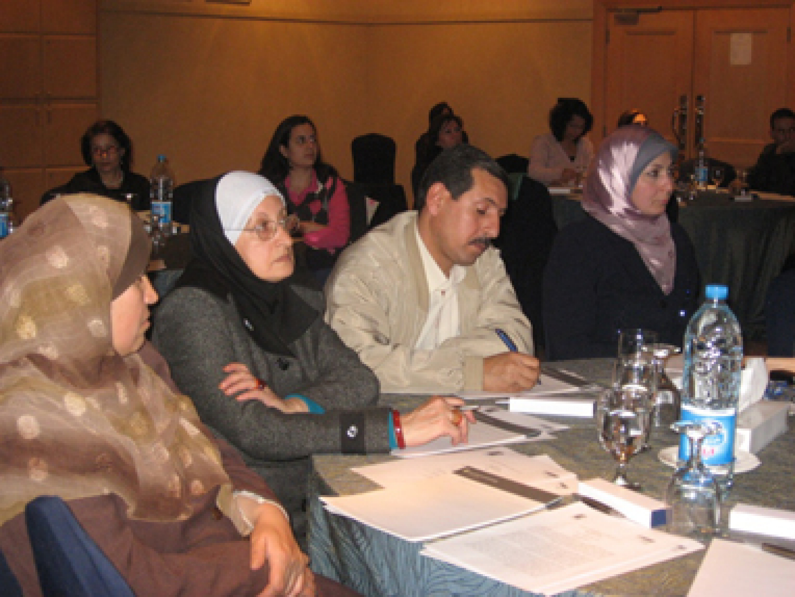Women Economic Experts Speak About the Impact of the Global Financial and Economic Crisis on Jordan