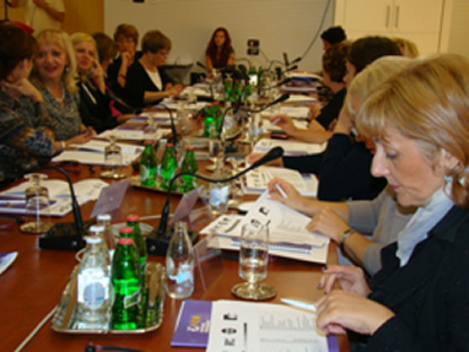 Women Social Democrats of Southeastern Europe Reach across Borders for Shared Goals