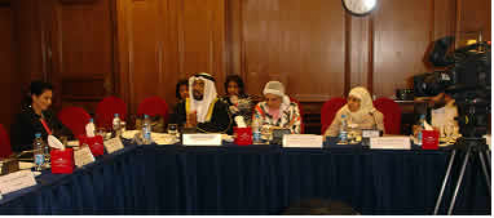 Bahrain Women’s Union Calls for Action on Domestic Violence Law