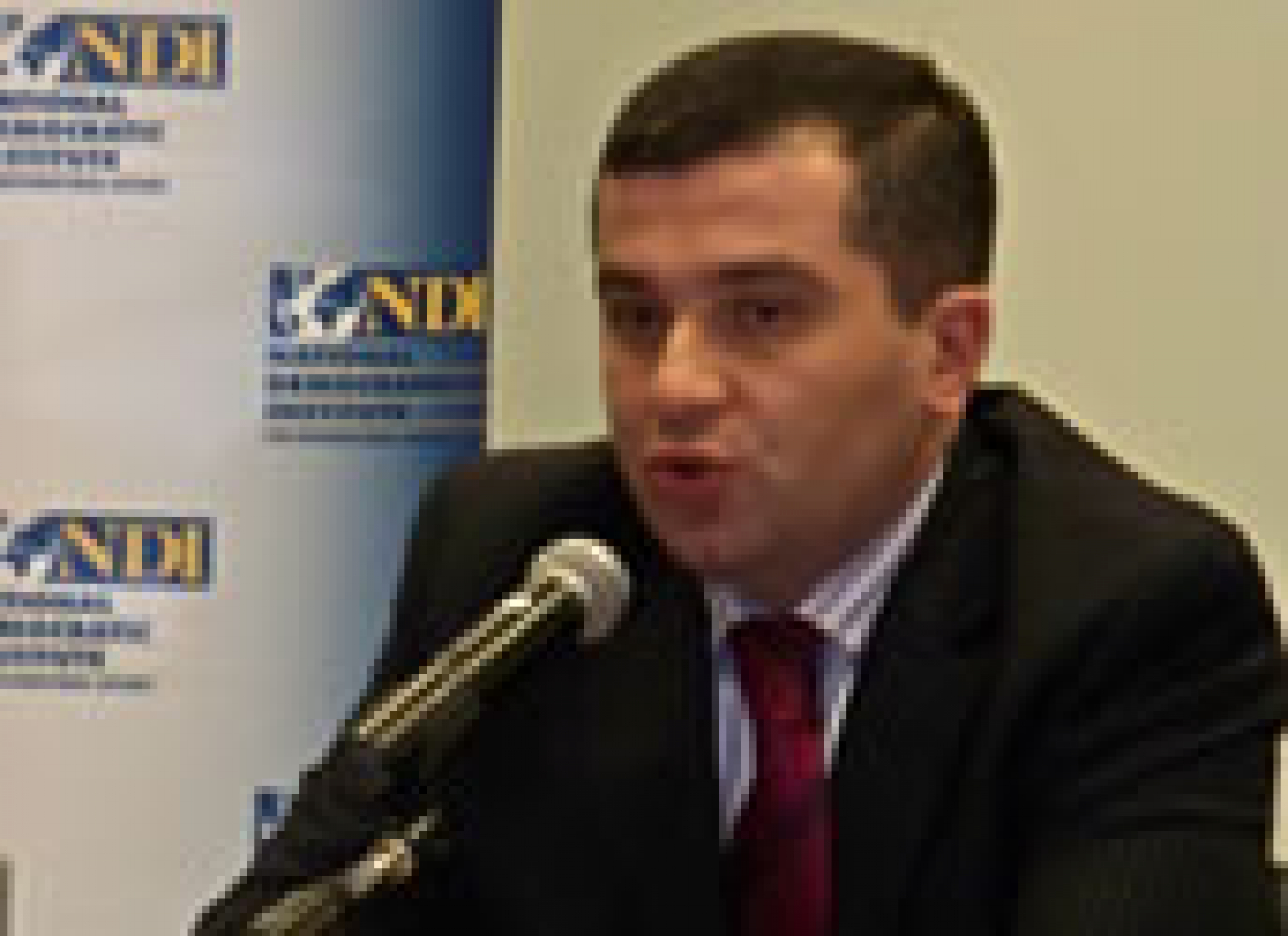 Chairman of Georgian Parliament Discusses Democratic Reforms