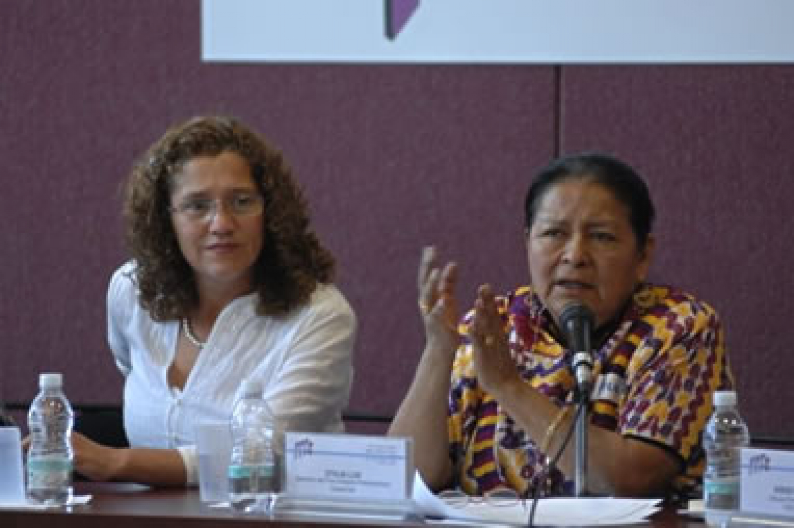 Latin American Women Legislators Share Ideas for Advancing Women’s Issues Across the Region