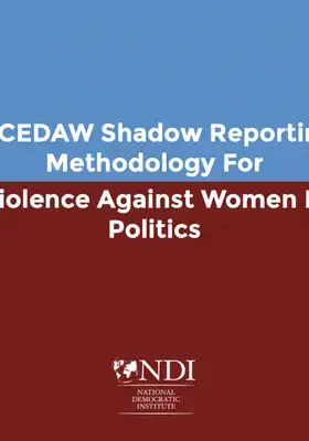 A CEDAW Shadow Reporting Methodology for VAW-P