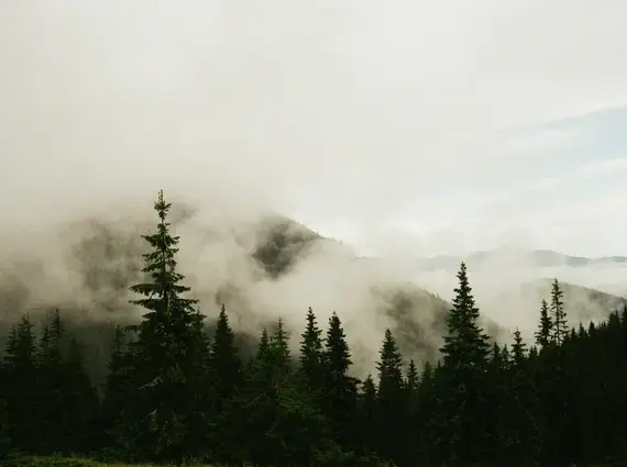 Mountains in the distance, obscured by fog with evergreen trees in the foreground shadow.