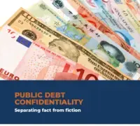 public debt