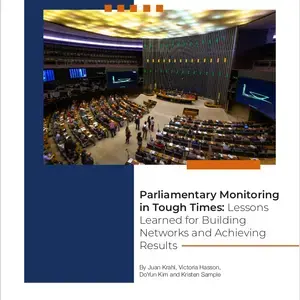 Parliamentary Monitoring in Tough Times: Lessons Learned for Building Networks and Achieving Results