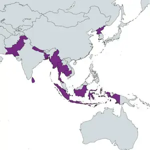 Asia-Pacific