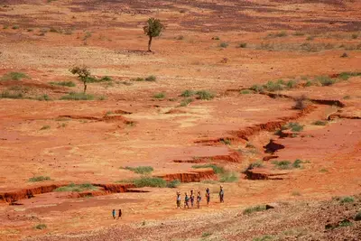 Sahel Landscape