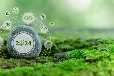 Living our values: Launching the Environmental Sustainability Initiative at NDI