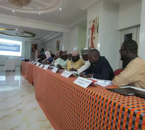 Participants at the workshop on media in Niger