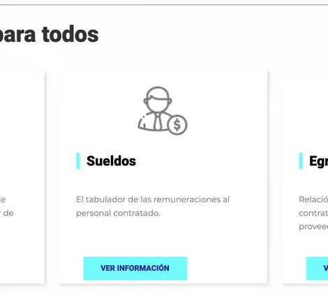 Transparency portal showcasing the constitutional articles that include laws and regulations on transparency, as well as transparent ways of sharing information about the PAN. Source: PAN transparency portal.