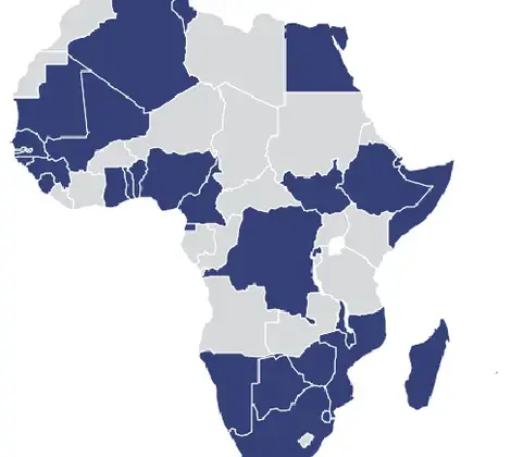 Elections will be held in 31 of Africa’s 54 countries between 2018 and 2019