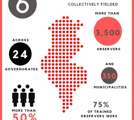 Infographic depicting &quot;The Collaborative Group&#039;s Observation Efforts&quot;