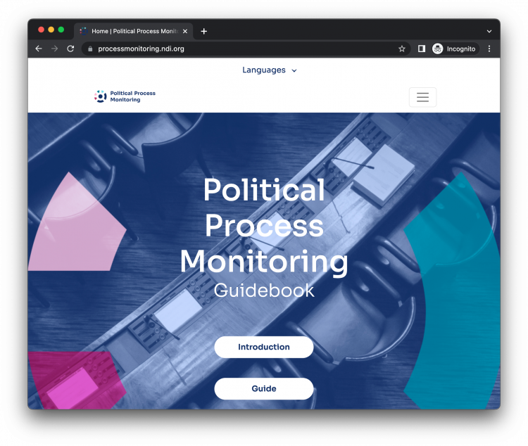 Screenshot of Political Process Monitoring Guide website